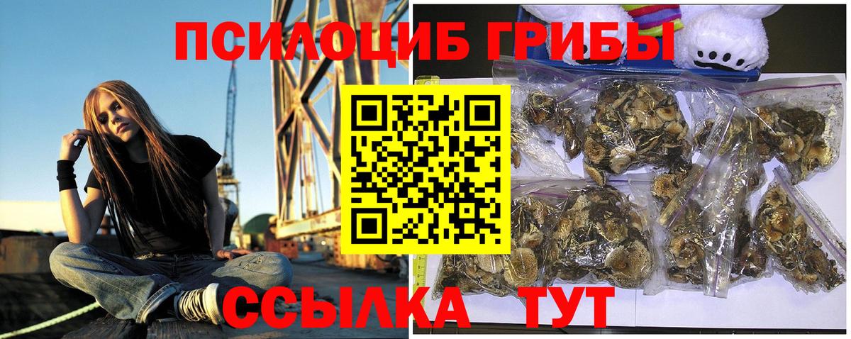 Канаш  Галлюциногенные грибы Magic Shrooms  Вход с VPN 