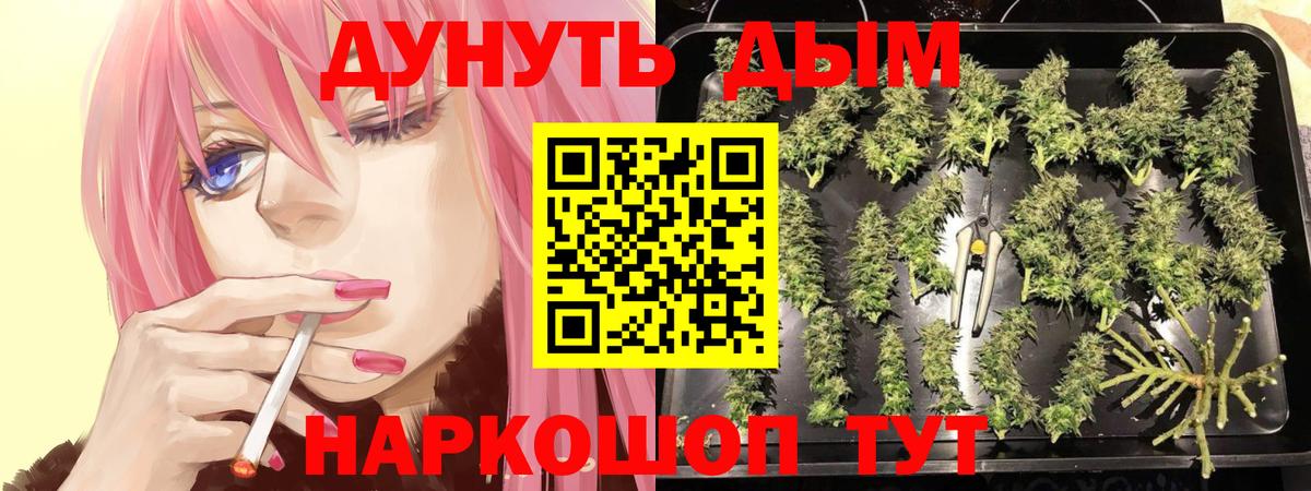Марихуана семена Канаш